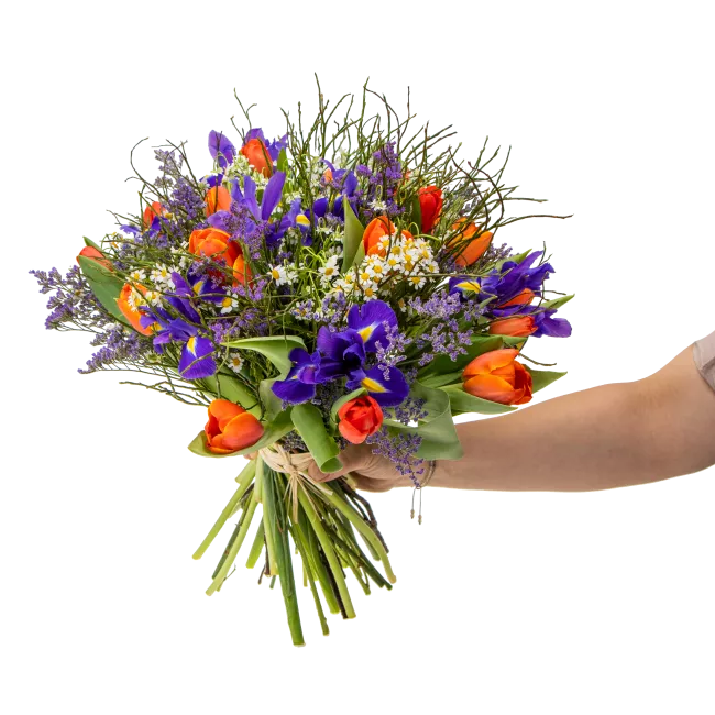 Bouquet of spring flowers